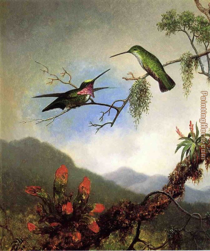 Martin Johnson Heade Amethyst Hummingbirds
